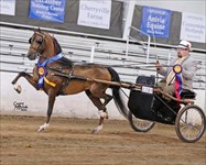 2018 Congress Grand Champion Modern Driving Stakes