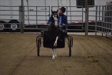 Sully driving in his 1st show