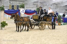 Congress Classic MH Carriage Driving Champion