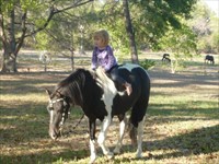 Daphne riding War Bonnet at home Tomball, TX
