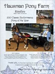 Rimfire 2010 Classic Driving Pony of the Year