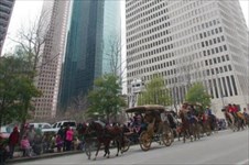Houston Livestock Show & Rodeo parade downtown through the skyscrapers