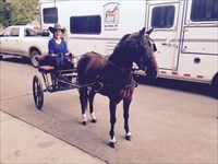 Julia & CH Texas Ranger after driving him in the MWMHSPO Memorial Show 5/23/2015