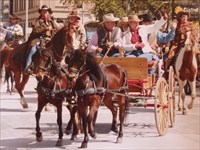 Channie/Ellie driving in Houston Livestock Show & Rodeo Parade