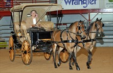 Benny & Issy Classic Carriage Driving Multiple Hitch, Daffodil Dandy Show 4.2019 