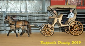 Benny & Issy Classic Carriage Multiple Hitch Driving, Daffodil Dandy Show 4.2019 