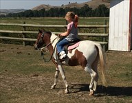 Daphne riding Haley getting ready for riding class at Montana State Fair August, 2016