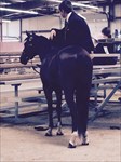 Grandson, Brody, waiting patiently to show Ranger in Showmanship, Blackfoot, ID June, 2015