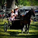 Daphne driving Ranger in Youth Cl. Country Pleasure Driving class at Montana State Fair Aug., 2015