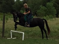 Grandson, Tristan, practicing jumping Katy